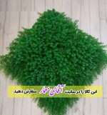 Shamshadi model green wall or artificial green wall code ch13